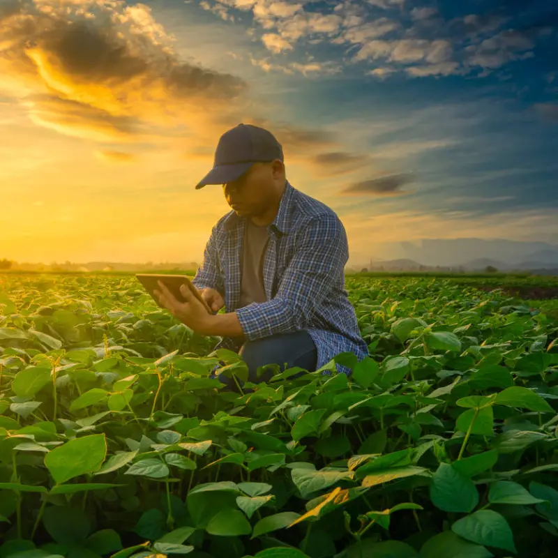 Interface Meu Agrônomo