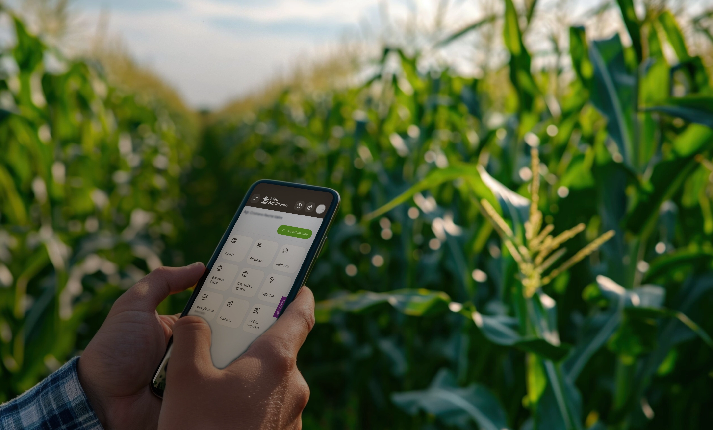 {t('solutions.agronomo.subtitle')}